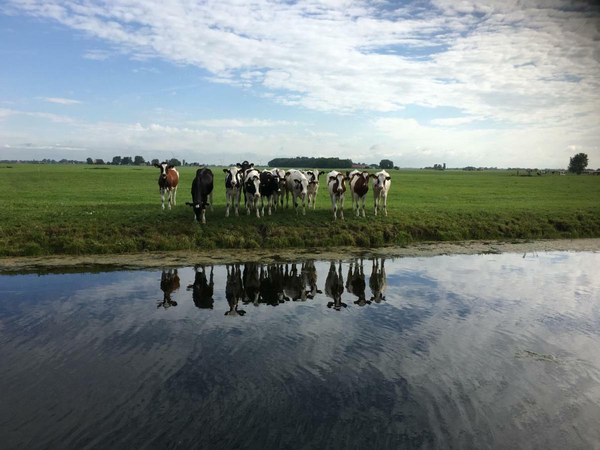 Vakantiehuis Het Voorhuis Op Landgoed Koepeltjesplaats Gaast Bagian luar foto