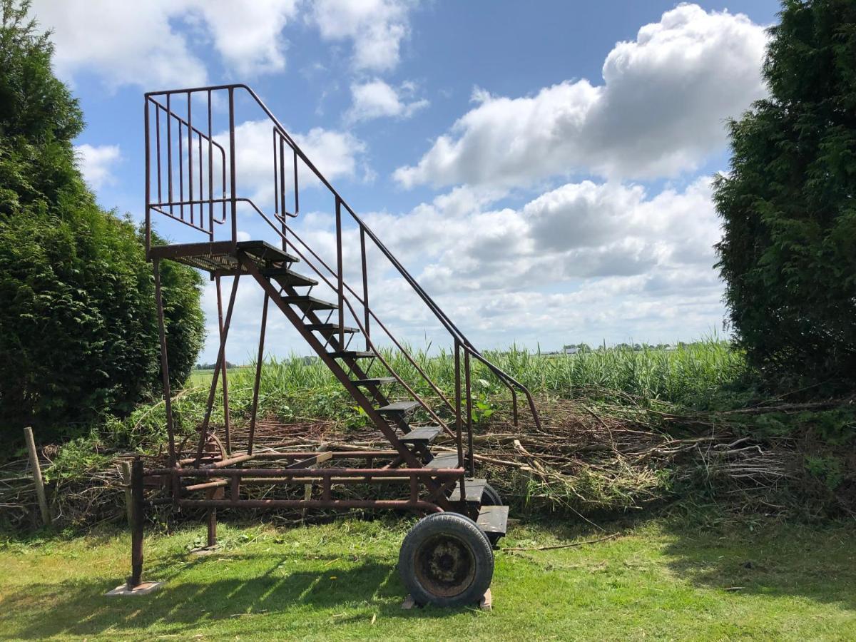 Vakantiehuis Het Voorhuis Op Landgoed Koepeltjesplaats Gaast Bagian luar foto