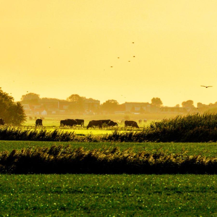 Vakantiehuis Het Voorhuis Op Landgoed Koepeltjesplaats Gaast Bagian luar foto