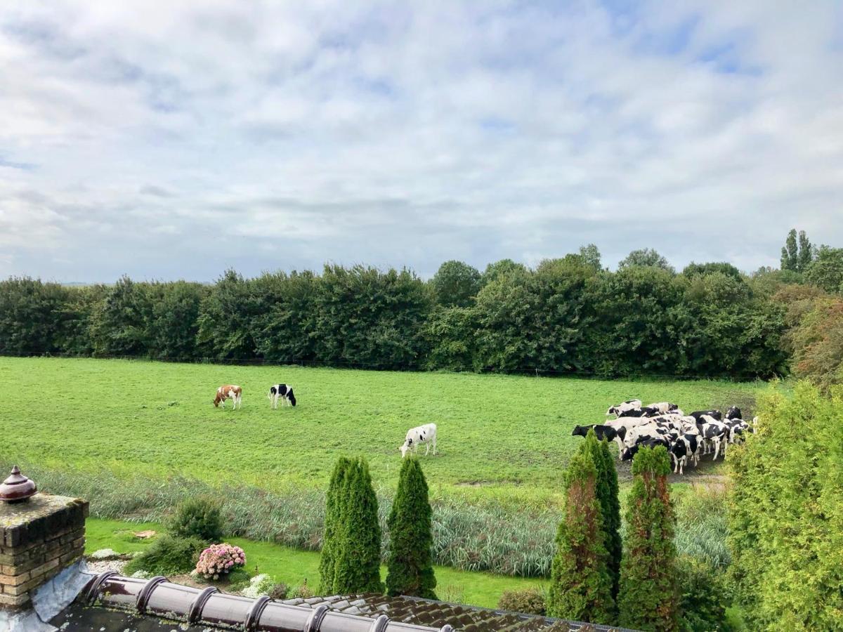 Vakantiehuis Het Voorhuis Op Landgoed Koepeltjesplaats Gaast Bagian luar foto